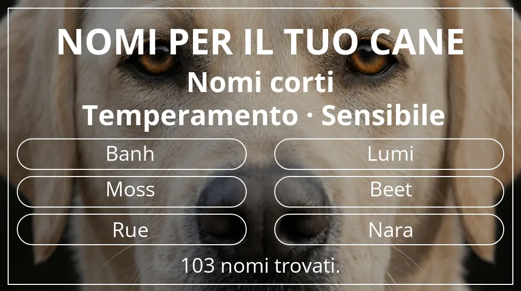 Nomi canini ispirati a lunghezza del nome breve (2–4) e temperamento sensibile