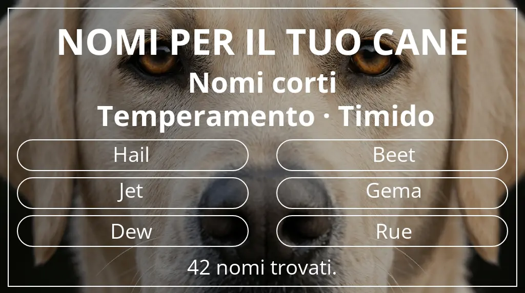 Nomi canini ispirati a lunghezza del nome breve (2–4) e temperamento timido