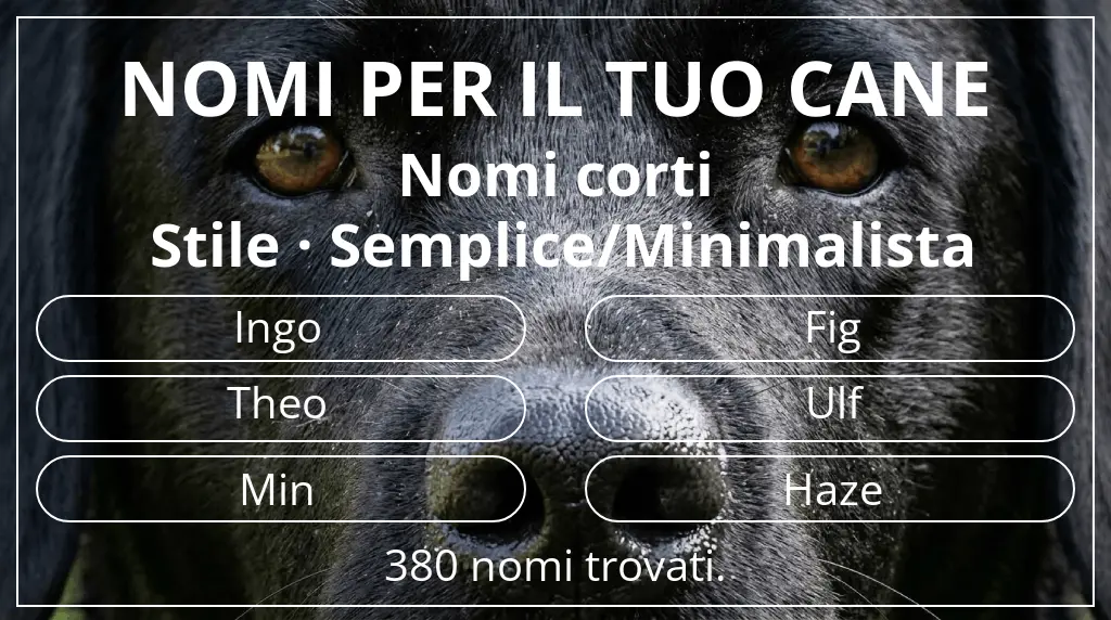 Nomi canini basati su lunghezza del nome breve (2–4) e stile semplice/minimalista