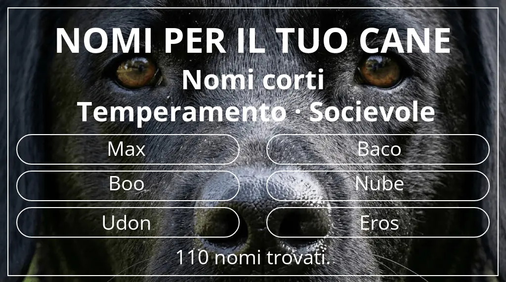 Nomi canini basati su lunghezza del nome breve (2–4) e temperamento socievole