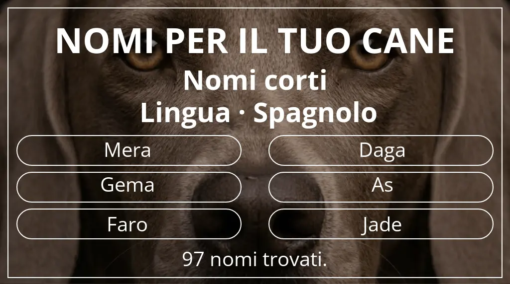 Nomi canini ispirati a lunghezza del nome breve (2–4) e lingua spagnolo