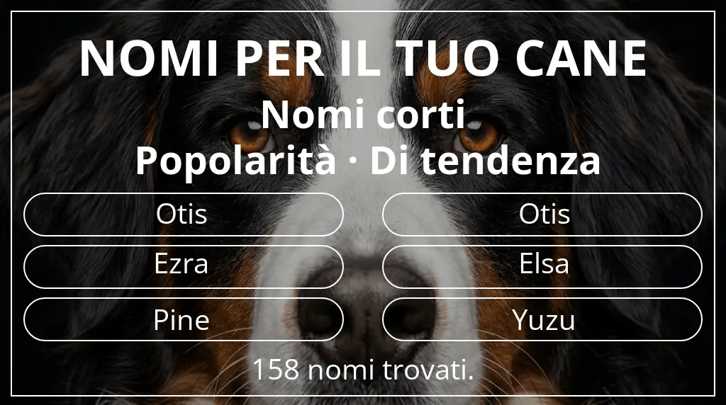 Nomi per cani basati su lunghezza del nome breve (2–4) e popolarità di tendenza