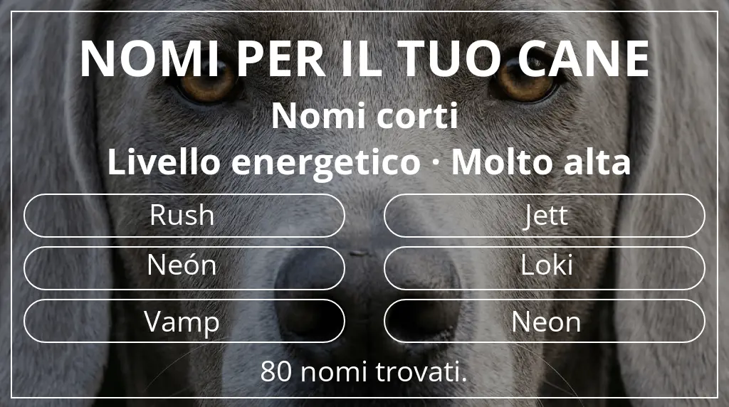 Nomi canini ispirati a lunghezza del nome breve (2–4) e livello energetico molto alta