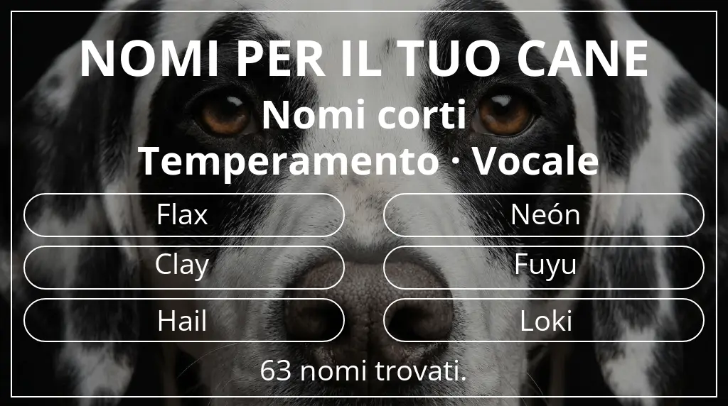 Nomi per cani basati su lunghezza del nome breve (2–4) e temperamento vocale