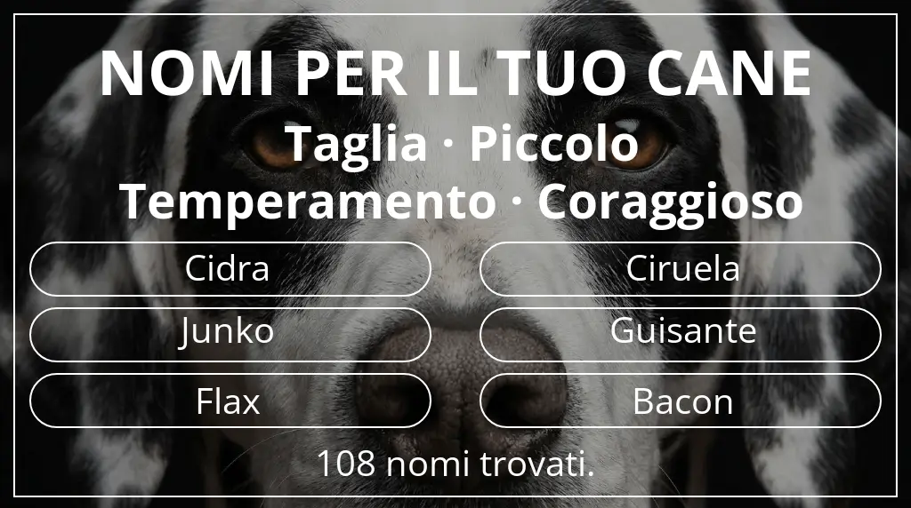 Nomi canini basati su taglia piccolo e temperamento coraggioso