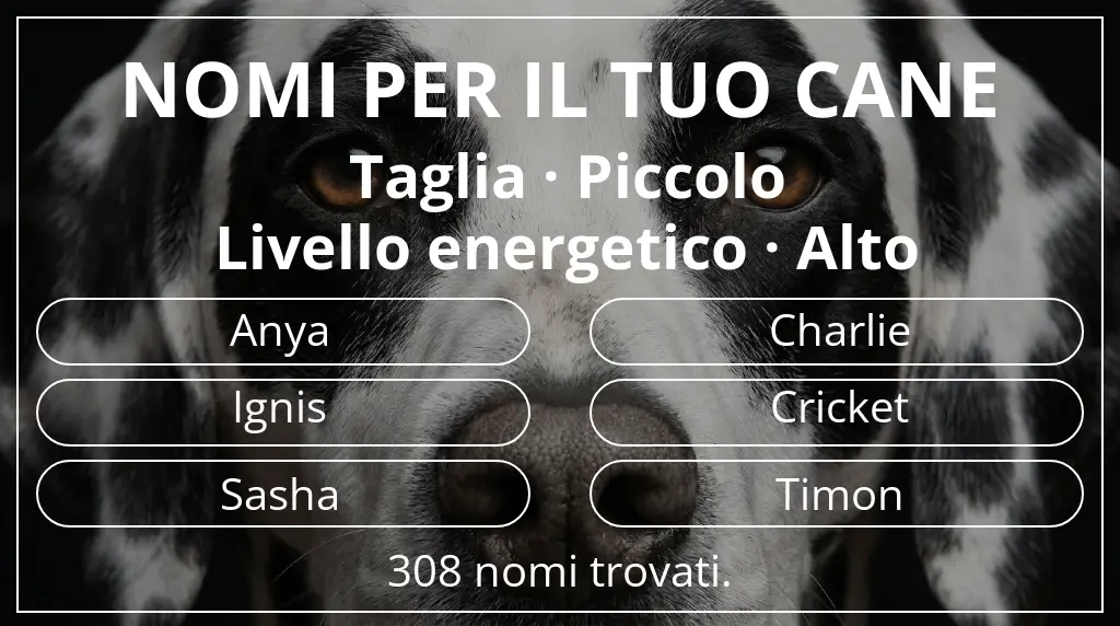 Nomi canini basati su taglia piccolo e livello energetico alto