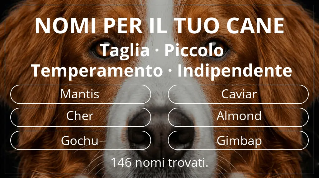 Nomi canini basati su taglia piccolo e temperamento indipendente