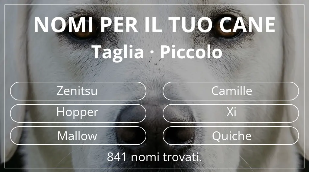 Nomi per cani basati su taglia piccolo