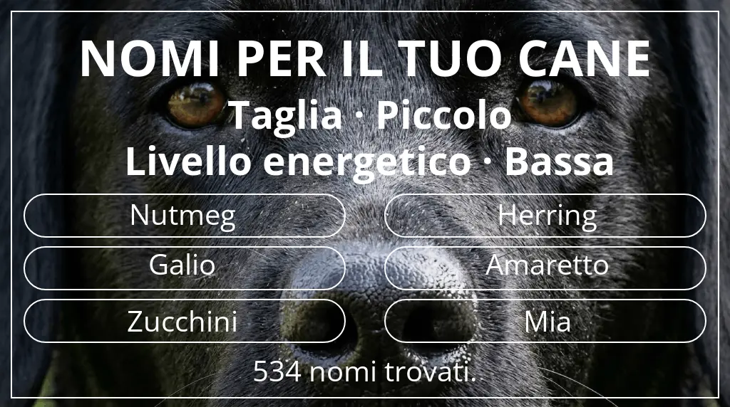 Nomi per cani basati su taglia piccolo e livello energetico bassa