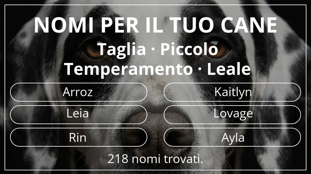 Nomi canini ispirati a taglia piccolo e temperamento leale
