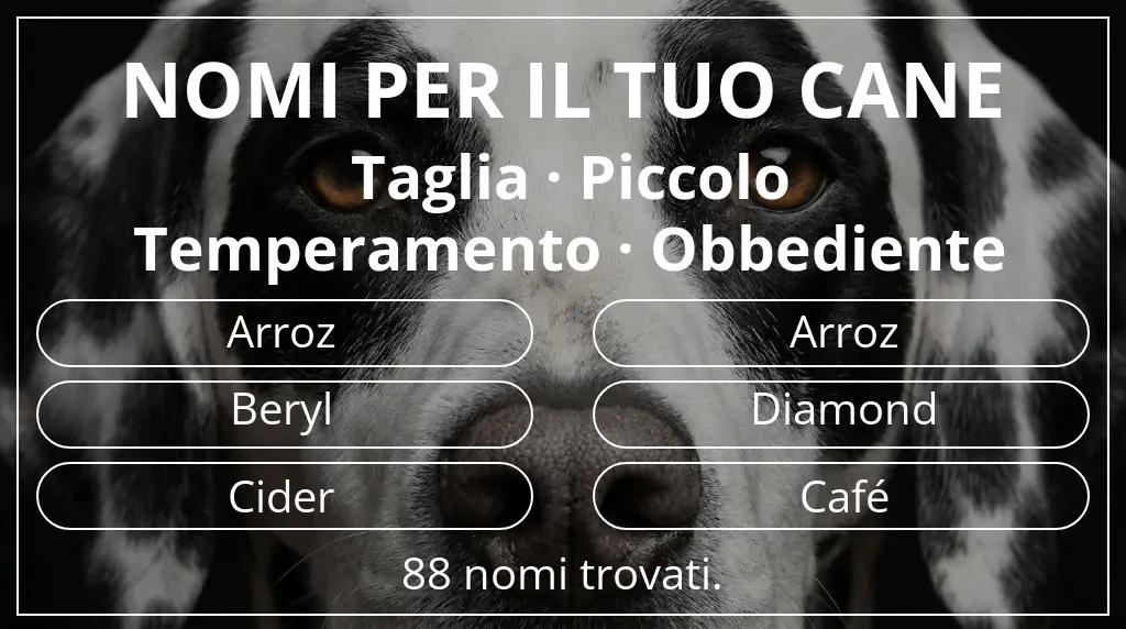 Nomi per cani basati su taglia piccolo e temperamento obbediente