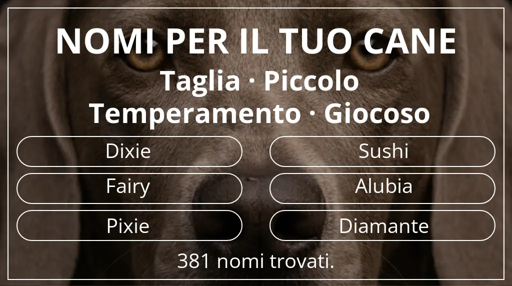 Nomi per cani ispirati a taglia piccolo e temperamento giocoso