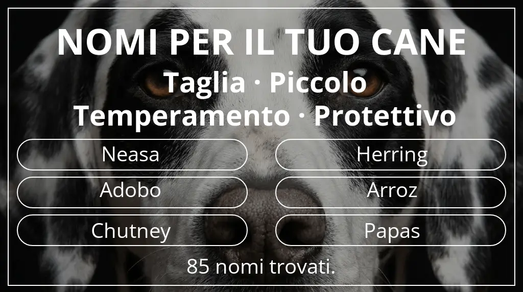 Nomi canini basati su taglia piccolo e temperamento protettivo