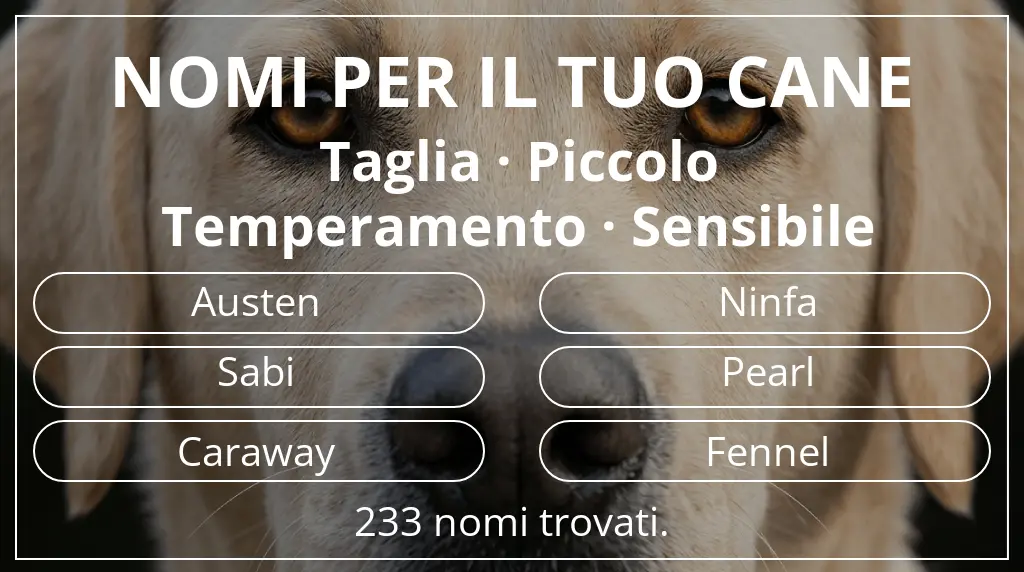 Nomi per cani basati su taglia piccolo e temperamento sensibile