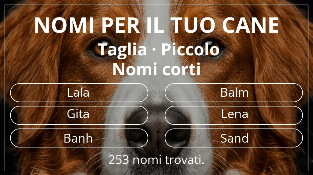 Nomi canini ispirati a taglia piccolo e lunghezza del nome breve (2–4)
