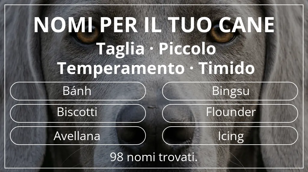 Nomi per cani basati su taglia piccolo e temperamento timido