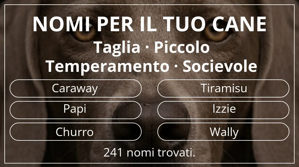Nomi per cani ispirati a taglia piccolo e temperamento socievole