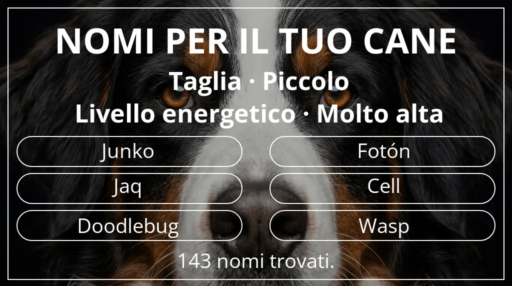 Nomi per cani basati su taglia piccolo e livello energetico molto alta