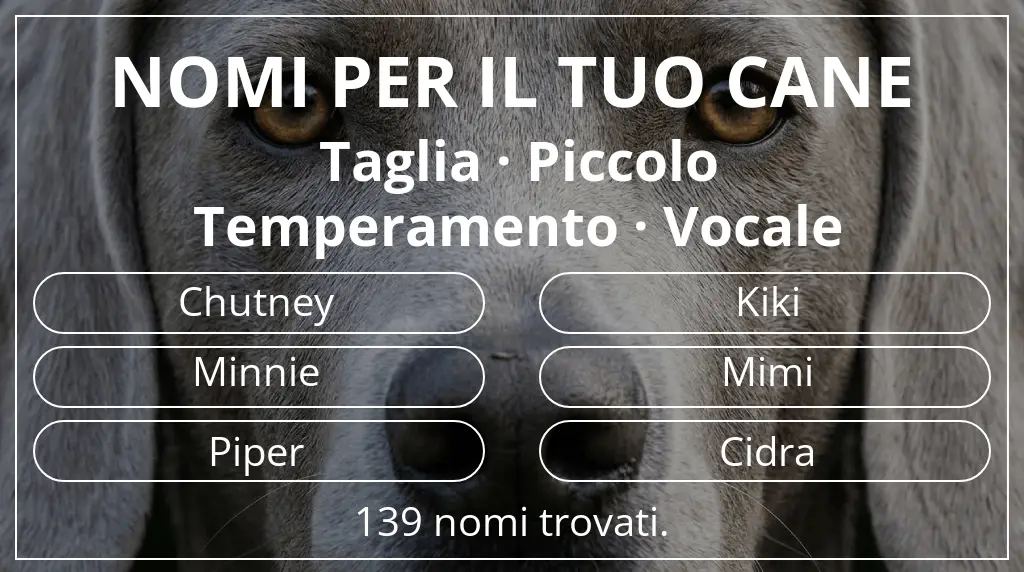 Nomi per cani ispirati a taglia piccolo e temperamento vocale