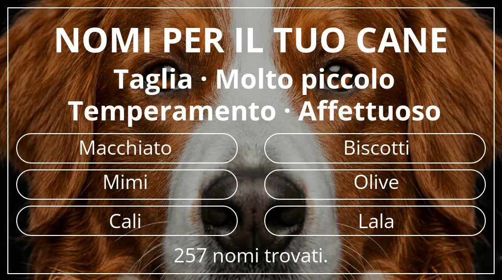 Nomi canini ispirati a taglia molto piccolo e temperamento affettuoso