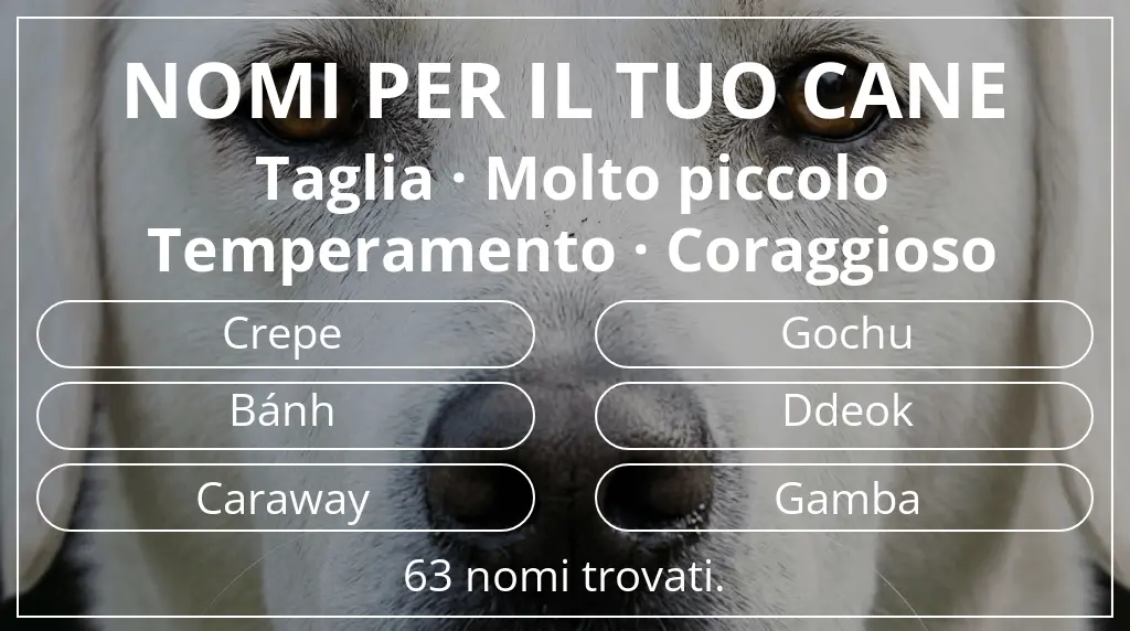 Nomi per cani ispirati a taglia molto piccolo e temperamento coraggioso