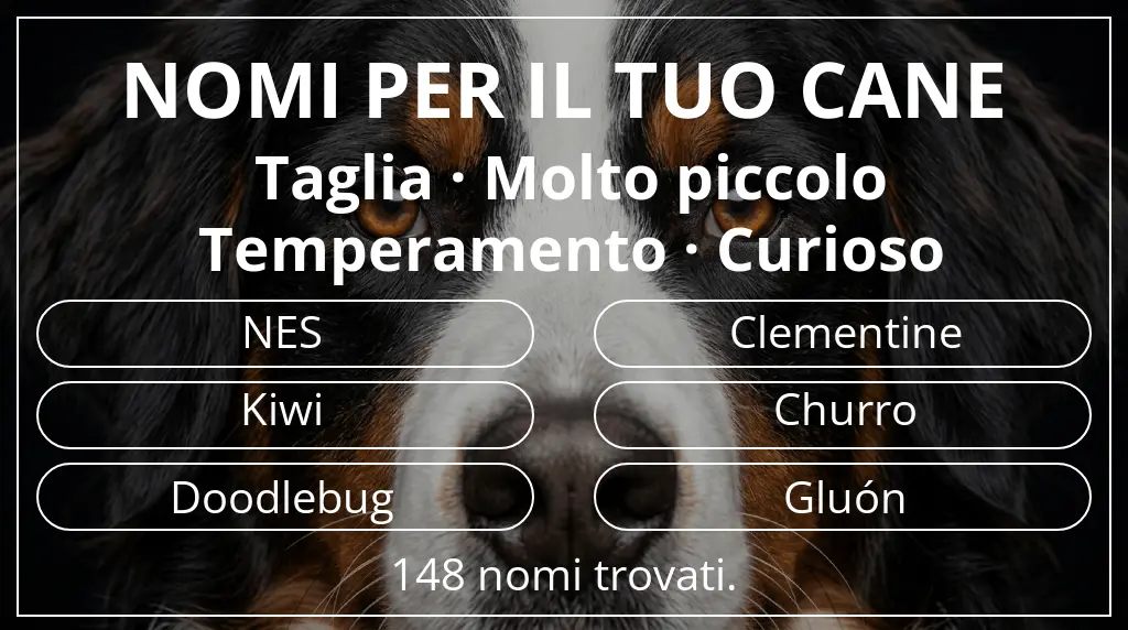 Nomi per cani ispirati a taglia molto piccolo e temperamento curioso