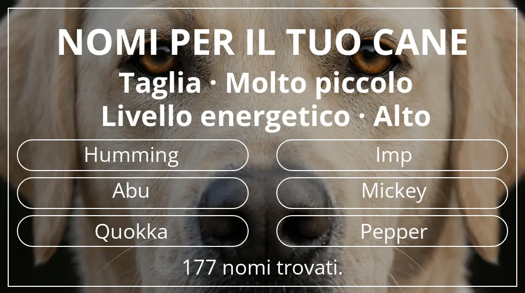 Nomi per cani basati su taglia molto piccolo e livello energetico alto