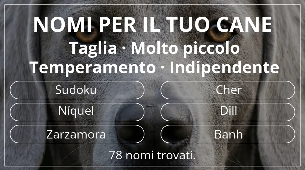 Nomi canini basati su taglia molto piccolo e temperamento indipendente