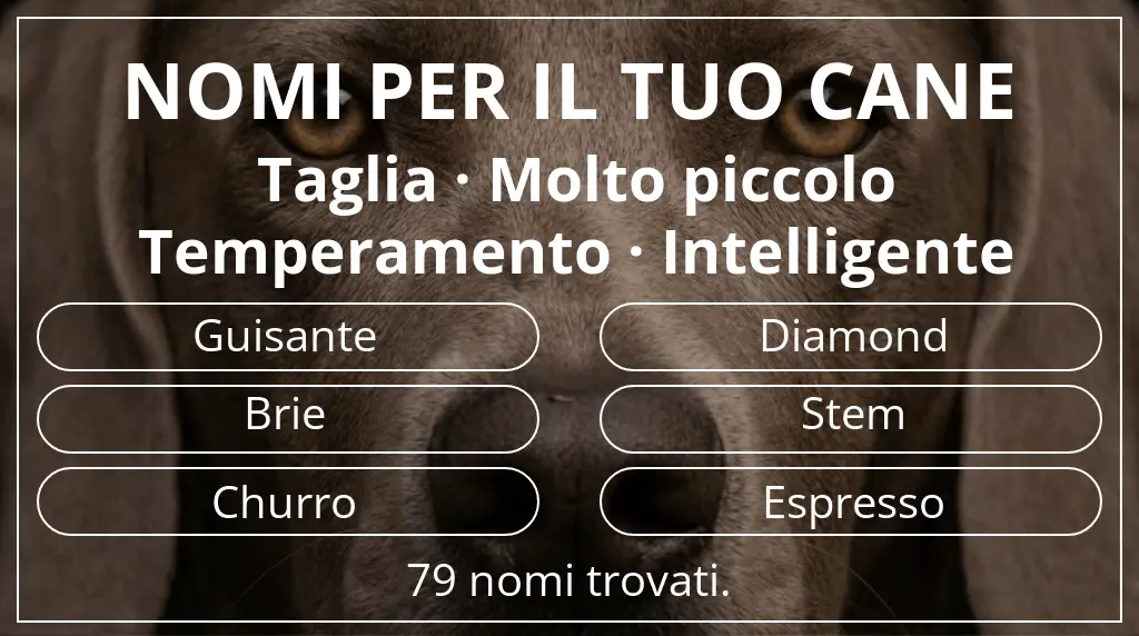Nomi canini ispirati a taglia molto piccolo e temperamento intelligente
