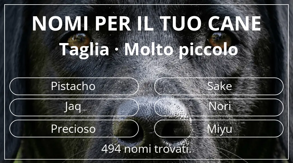 Nomi canini ispirati a taglia molto piccolo