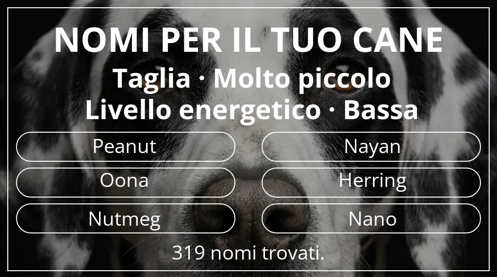 Nomi per cani basati su taglia molto piccolo e livello energetico bassa