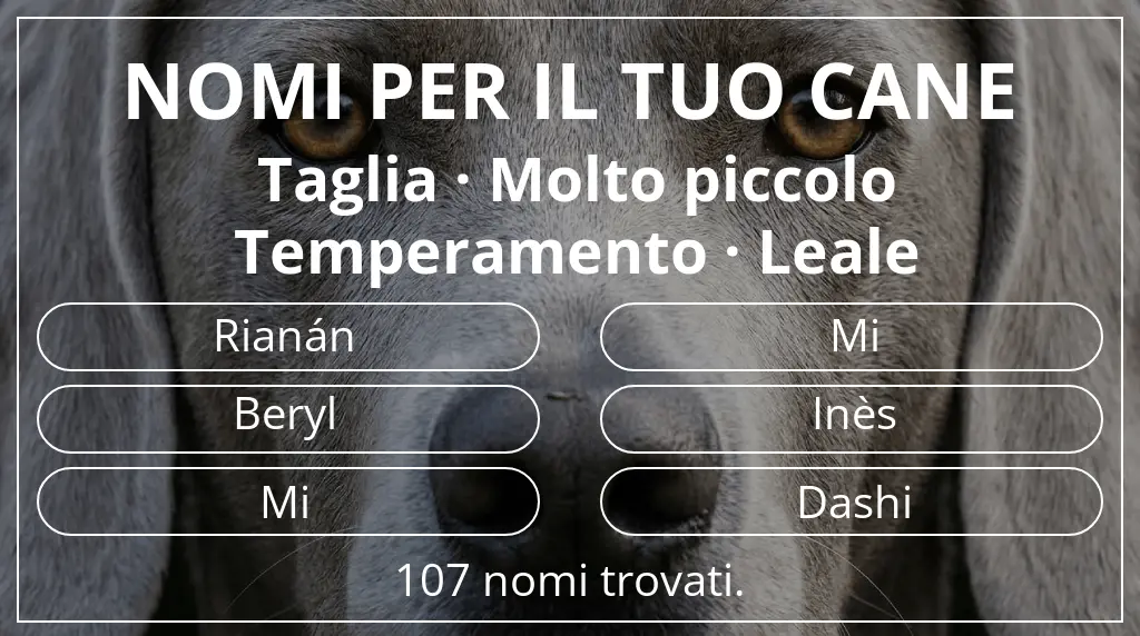 Nomi per cani basati su taglia molto piccolo e temperamento leale