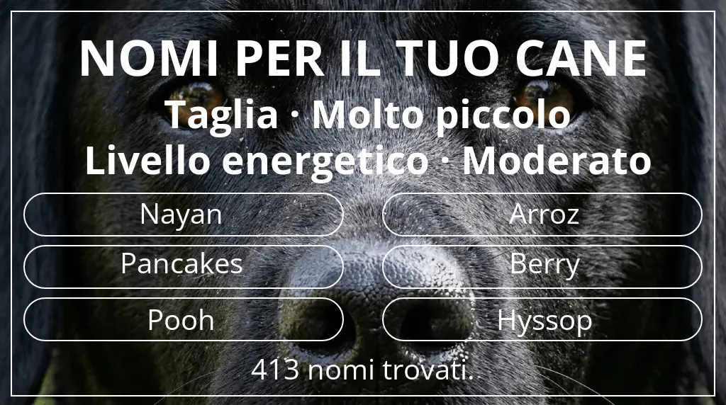 Nomi canini ispirati a taglia molto piccolo e livello energetico moderato