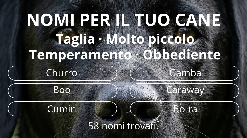 Nomi canini basati su taglia molto piccolo e temperamento obbediente