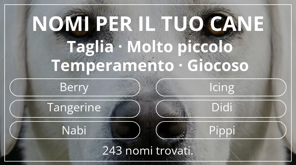 Nomi per cani ispirati a taglia molto piccolo e temperamento giocoso