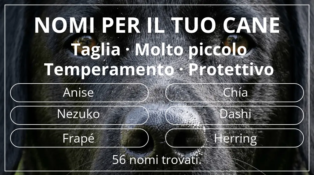 Nomi per cani ispirati a taglia molto piccolo e temperamento protettivo