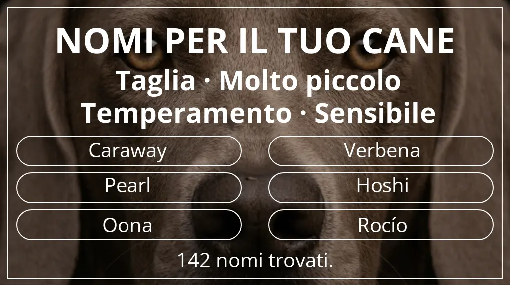 Nomi canini basati su taglia molto piccolo e temperamento sensibile
