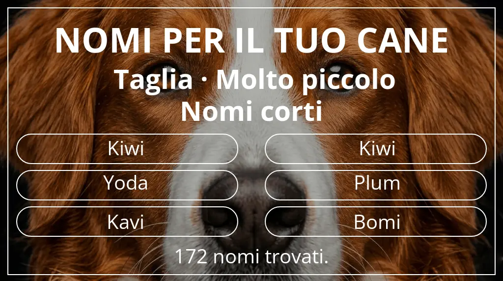 Nomi canini ispirati a taglia molto piccolo e lunghezza del nome breve (2–4)