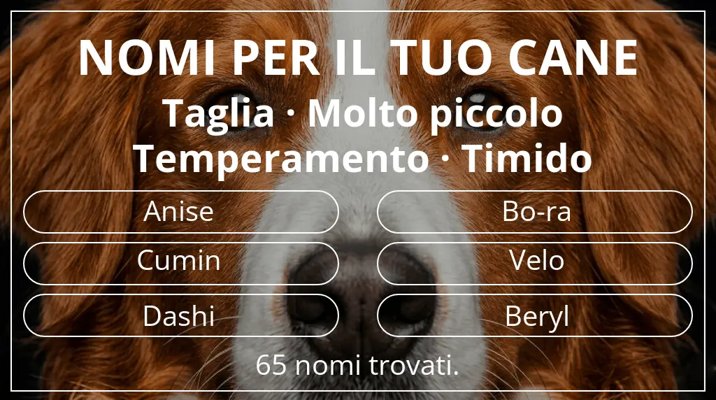 Nomi canini basati su taglia molto piccolo e temperamento timido