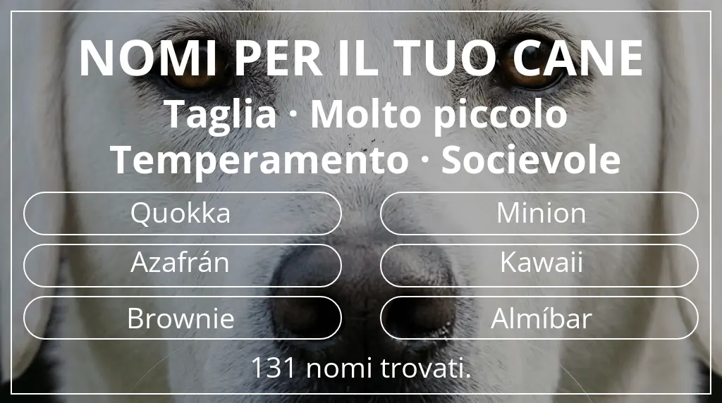 Nomi canini basati su taglia molto piccolo e temperamento socievole