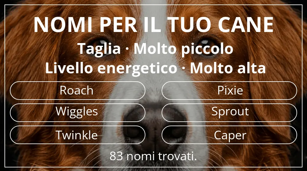 Nomi per cani ispirati a taglia molto piccolo e livello energetico molto alta