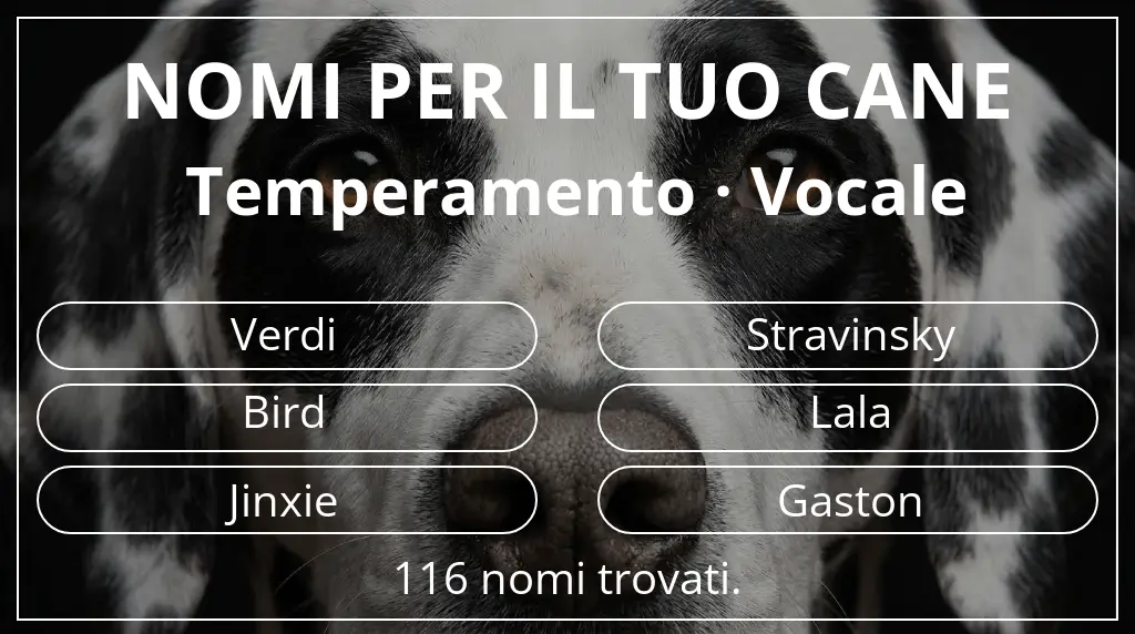 Nomi canini ispirati a temperamento vocale