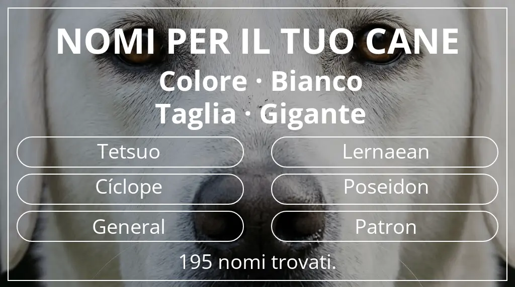 Nomi canini basati su colore bianco e taglia gigante
