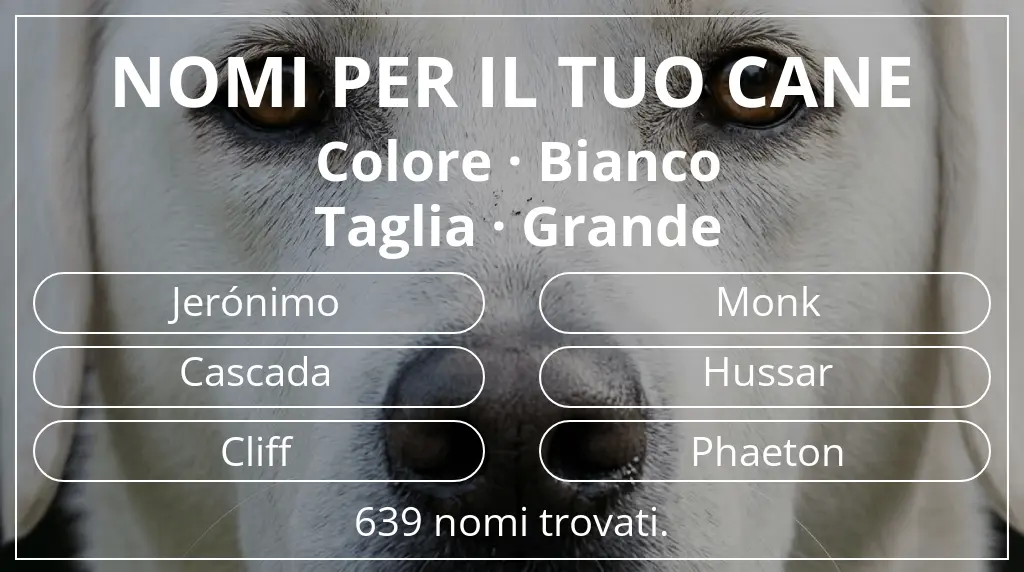 Nomi canini ispirati a colore bianco e taglia grande