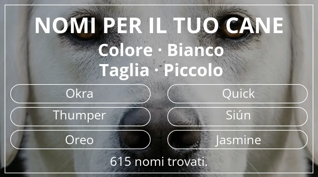 Nomi canini basati su colore bianco e taglia piccolo