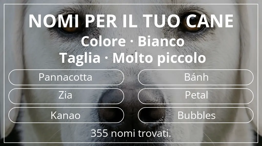 Nomi per cani ispirati a colore bianco e taglia molto piccolo