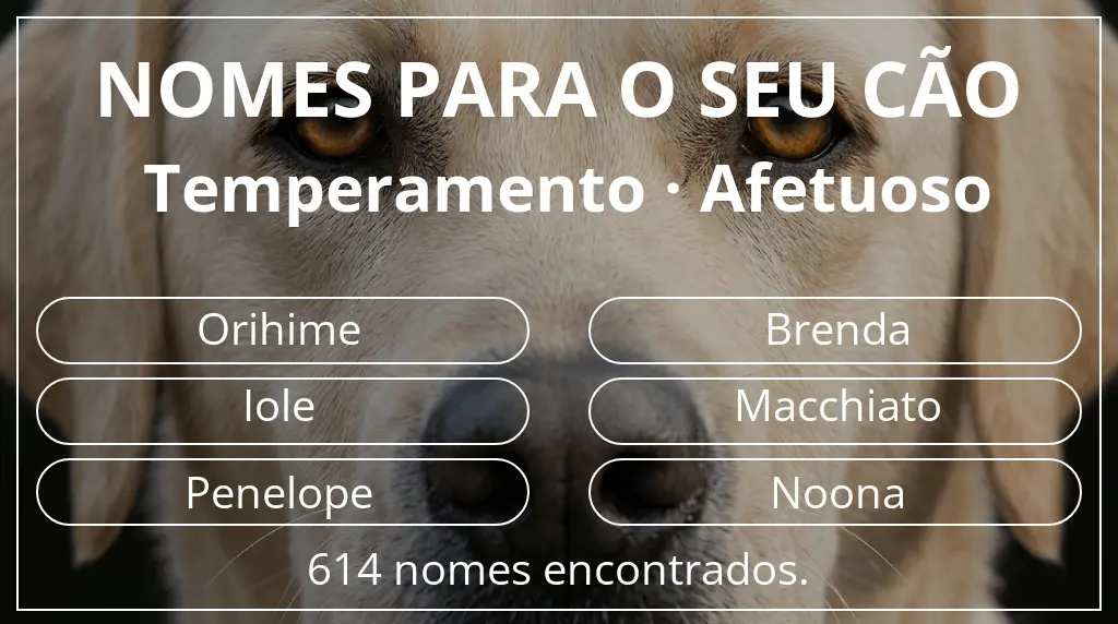 Nomes caninos com inspiração em temperamento afetuoso