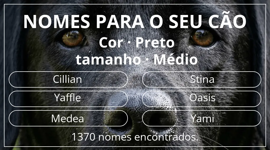 Nomes para cães segundo cor preto e tamanho médio