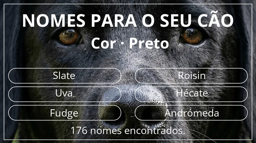 Nomes para cães baseados em cor preto
