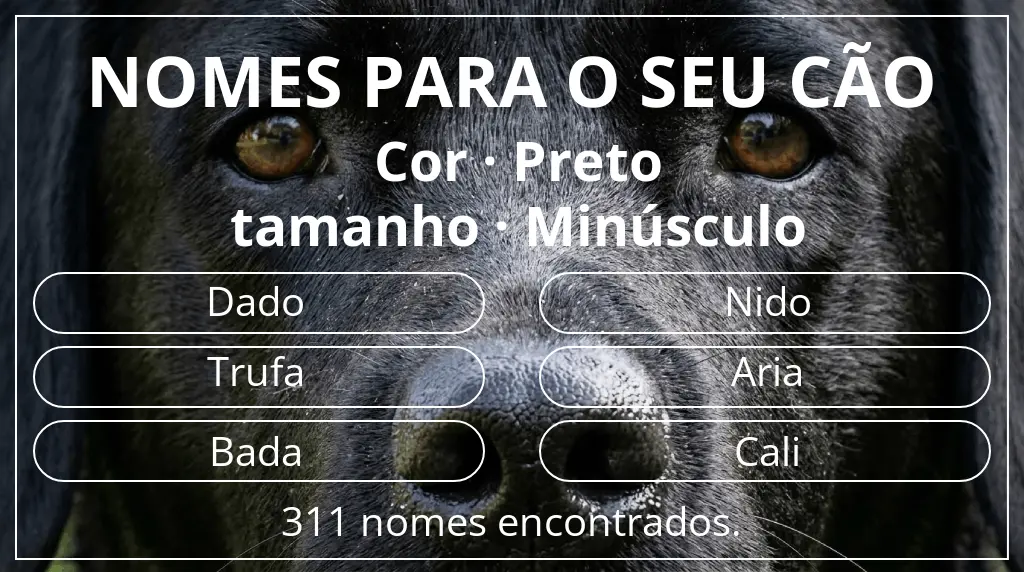 Nomes caninos segundo cor preto e tamanho minúsculo